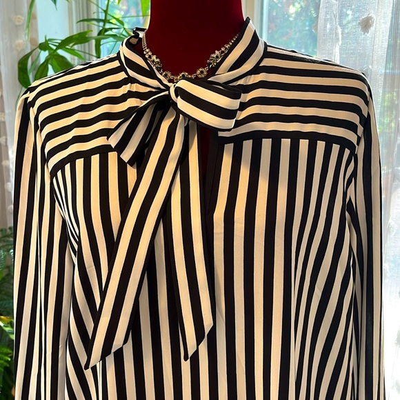 Not guilty of anything but looking beautiful! - Picture 3 of 8